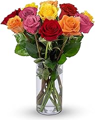 Benchmark Bouquets - 12 Stem Premium Rainbow Roses (Glass Vase Included) - Fresh Flowers for Delivery - Gift for Graduation, 