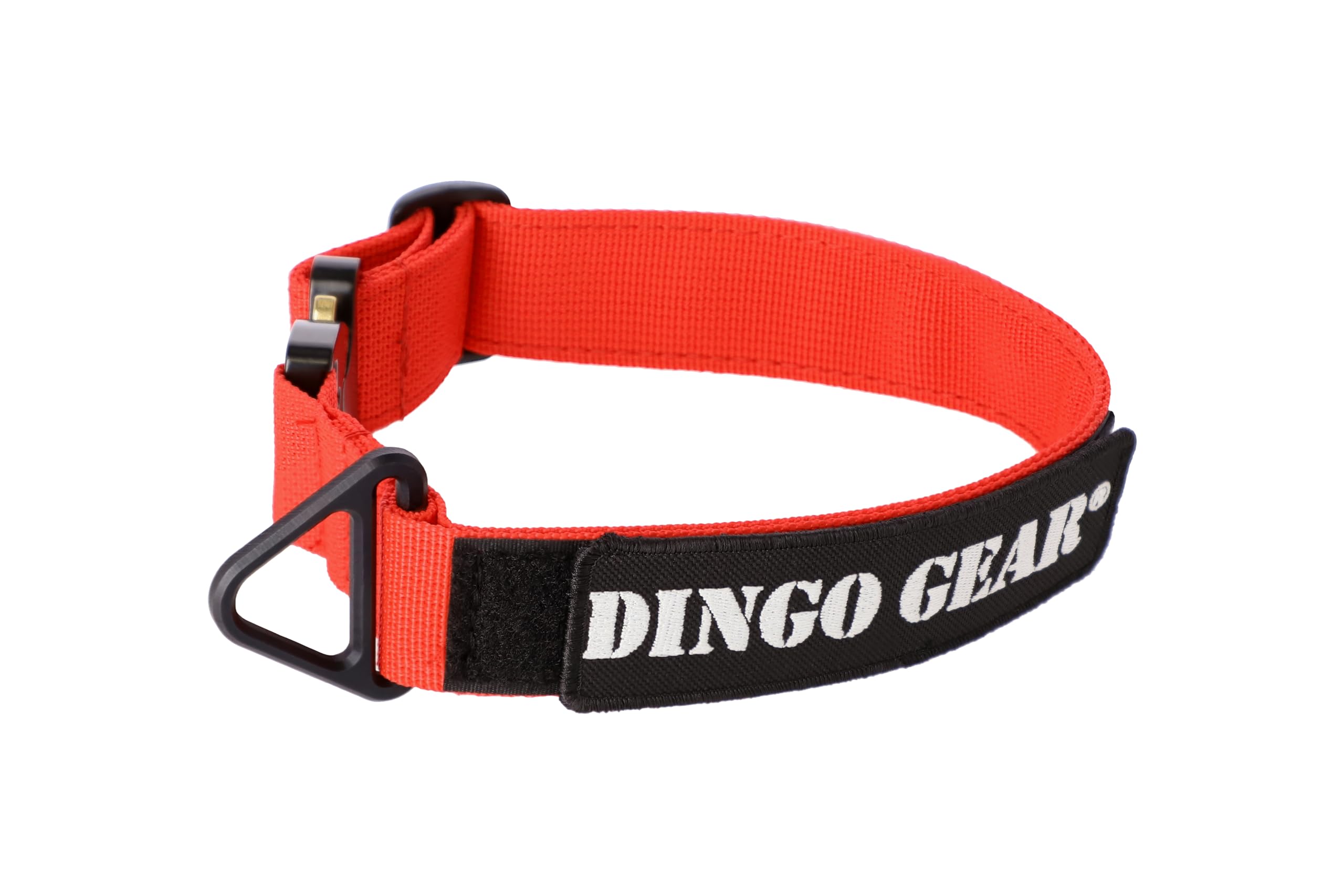 DINGO GEAR Cobra Dog Collar with Professional Safety Buckle, and Label Attached with Velcro-like Fastener, Reliable Collar for Defence Training, Special Tasks, Neck Girth 38-48 cm, Red (S03933)