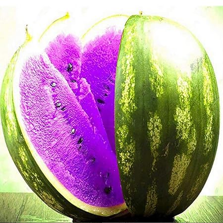 Ultrey Samenshop - 10 Stück Seltene Wassermelone Samen zuckersüss Melonen Essbar mehrfarbig Früchte und Obst Samen 5 Farben f
