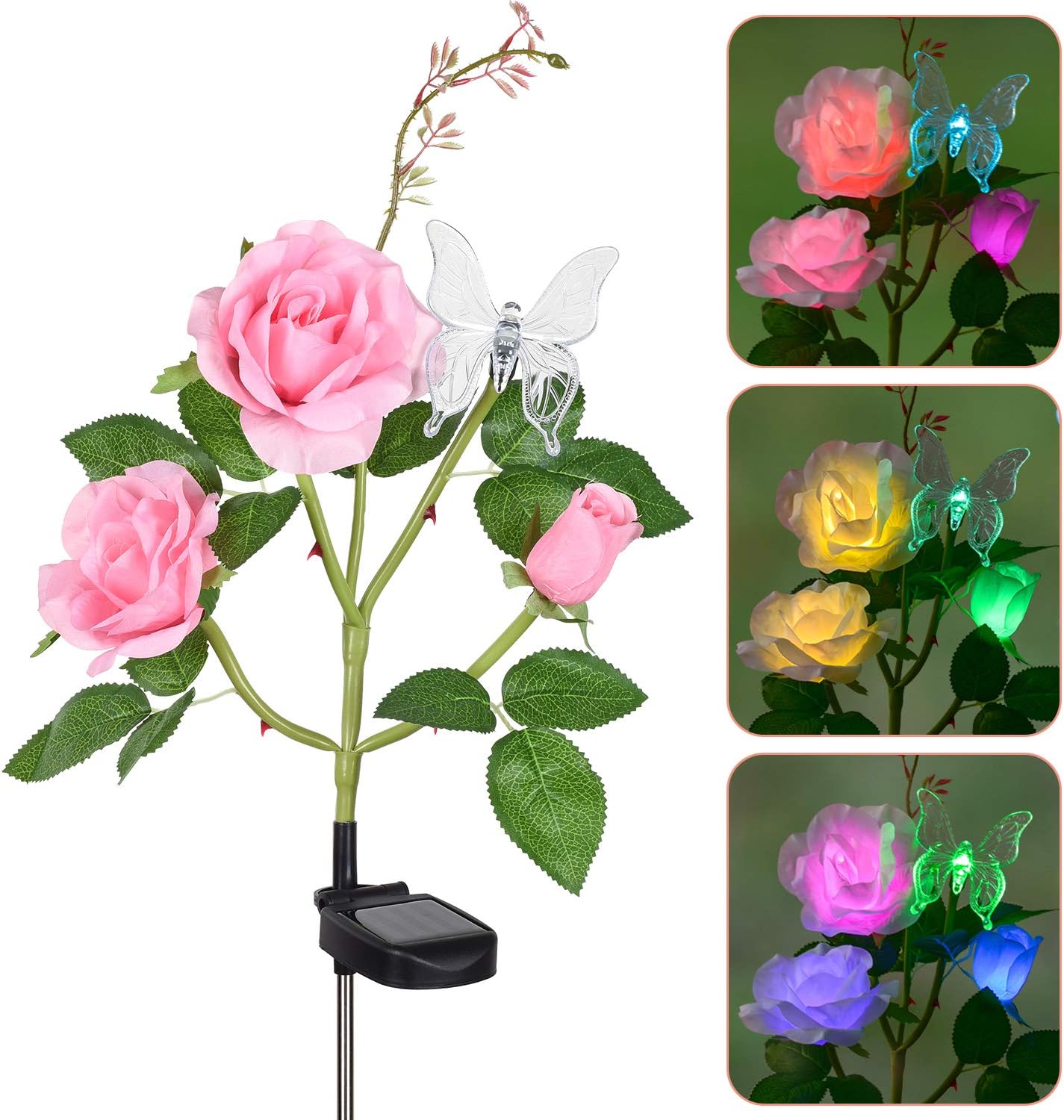 Rose flower essay for class 1 image