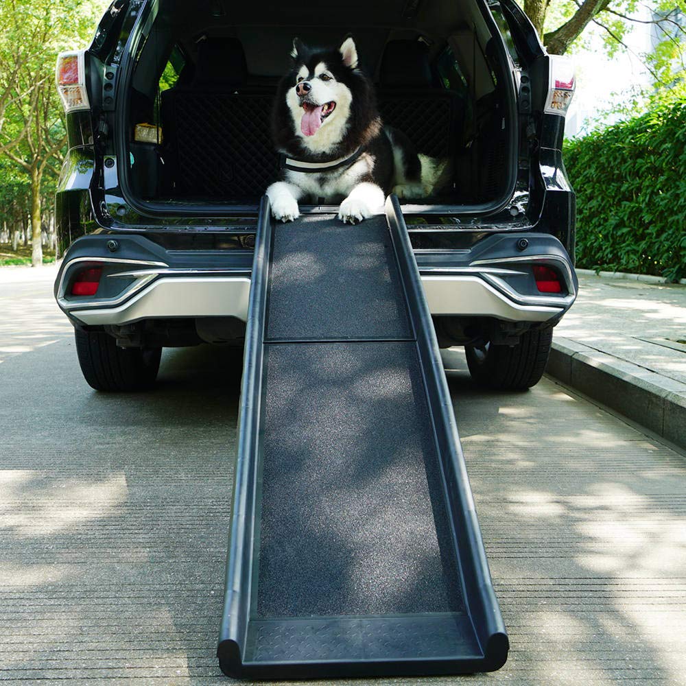 Best Dog Ladder For Docks