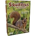 Friendzy Games Squirrels The Card Game - Family Card Game, Fast and Fun, Easy-to Learn for Ages 10+, 2-8 Players