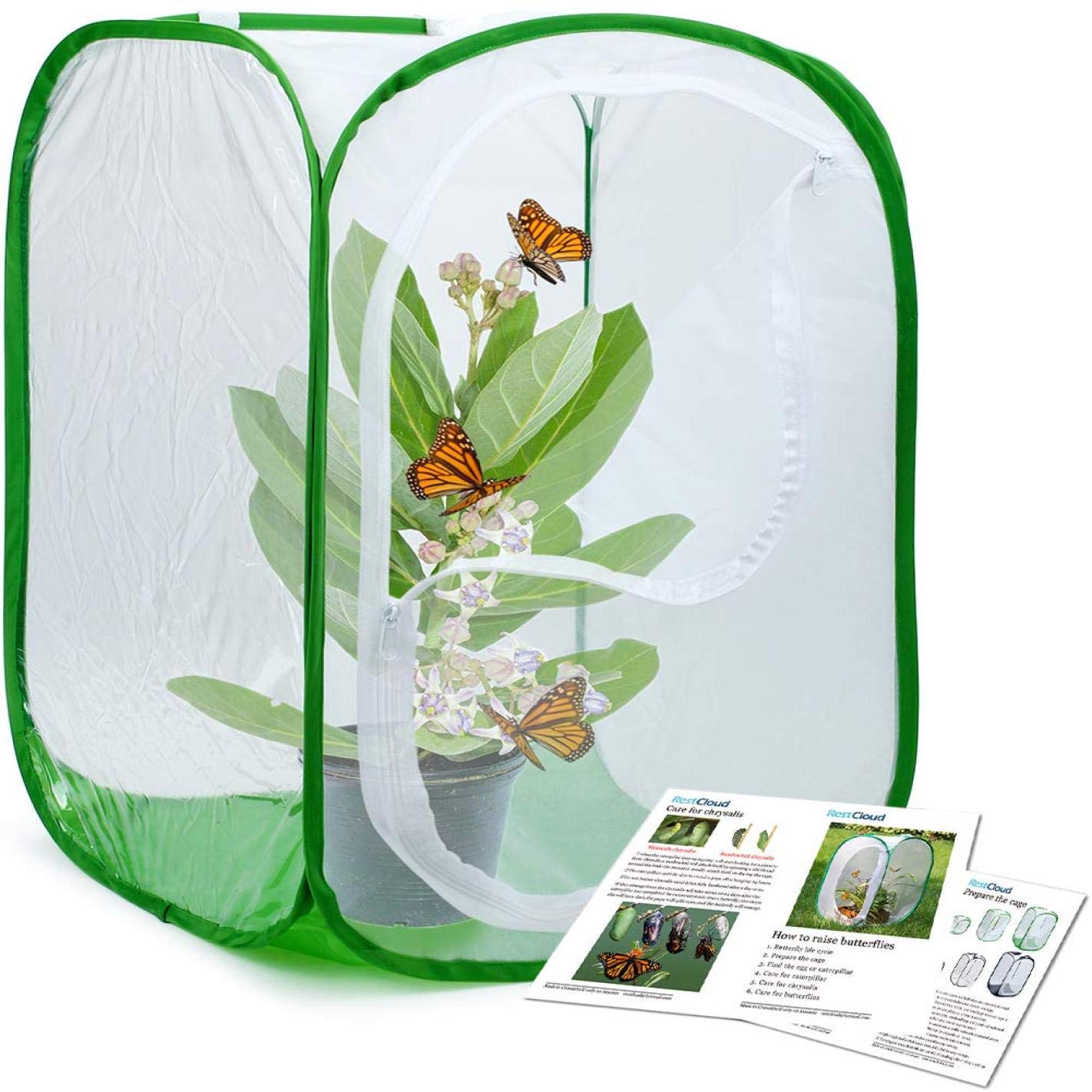gXieShiG - Jaula de hábitat para Insectos y Mariposas (38 x 38 x ...