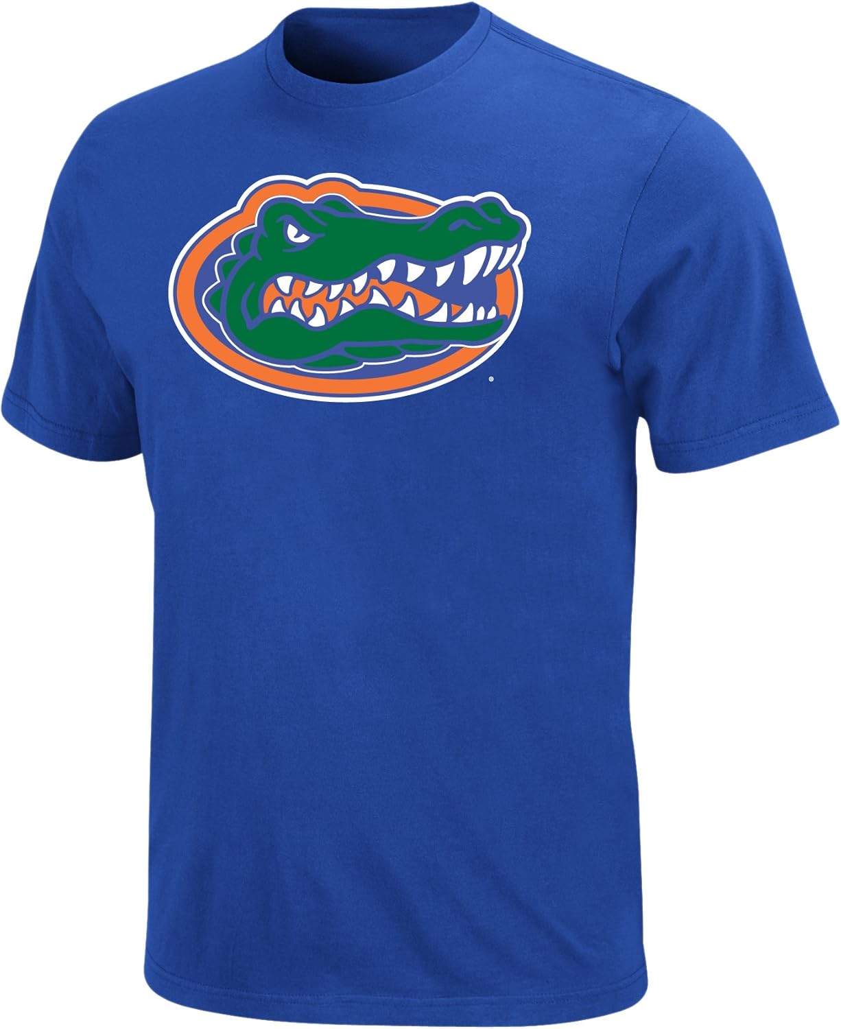 Amazon.com : NCAA Florida Gators Football Icon Shock Blue Short Sleeve Basic Tee : Sports Fan T 