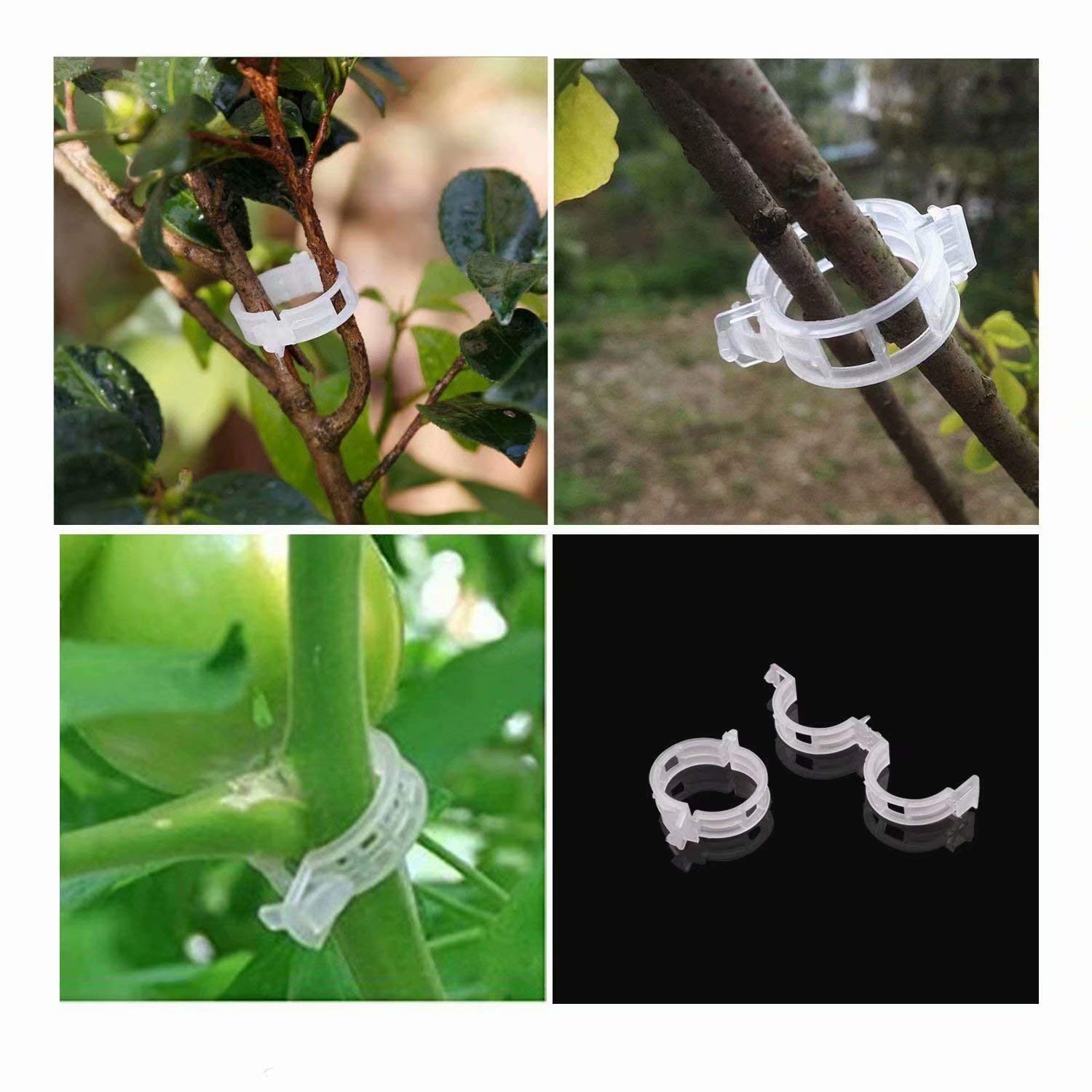 20 Clips De Soporte Para Orquídeas Y Enredaderas - Clips De Plástico