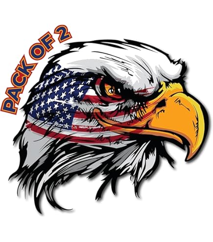 Amazon.com - Black Diamond Art American Bald Eagle Head
