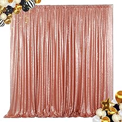 ShiDianYi 4FTX6FT-Blush-SEQUIN Photo