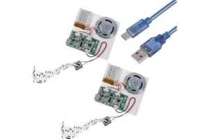 ALMOCN 2PCS Sound Recorder Module 16MB Push Button Activated Sound Module with Speaker DIY Music Voice Recording + Type-C Cable for DIY Music Box Greeting Card DIY Projects