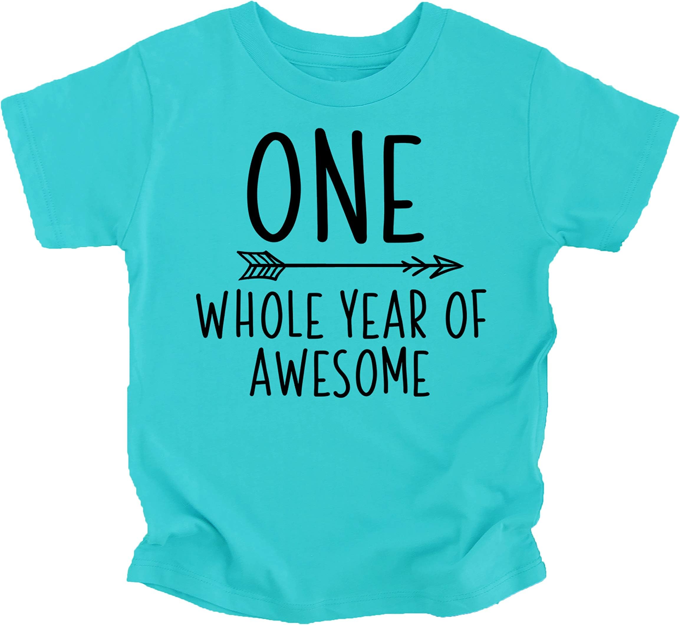 One Whole Year of Awesome Shirt Boys 1st Birthday Outfit