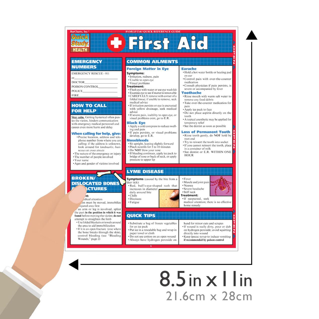 Mua First Aid QuickStudy Laminated Reference Guide (QuickStudy Health ...