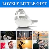 Fuoliystep Glass Storm Glass Weather Forecaster Barometer Predictor Office Home view 7