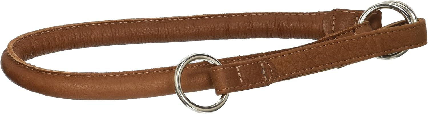 2 inch leather martingale collar