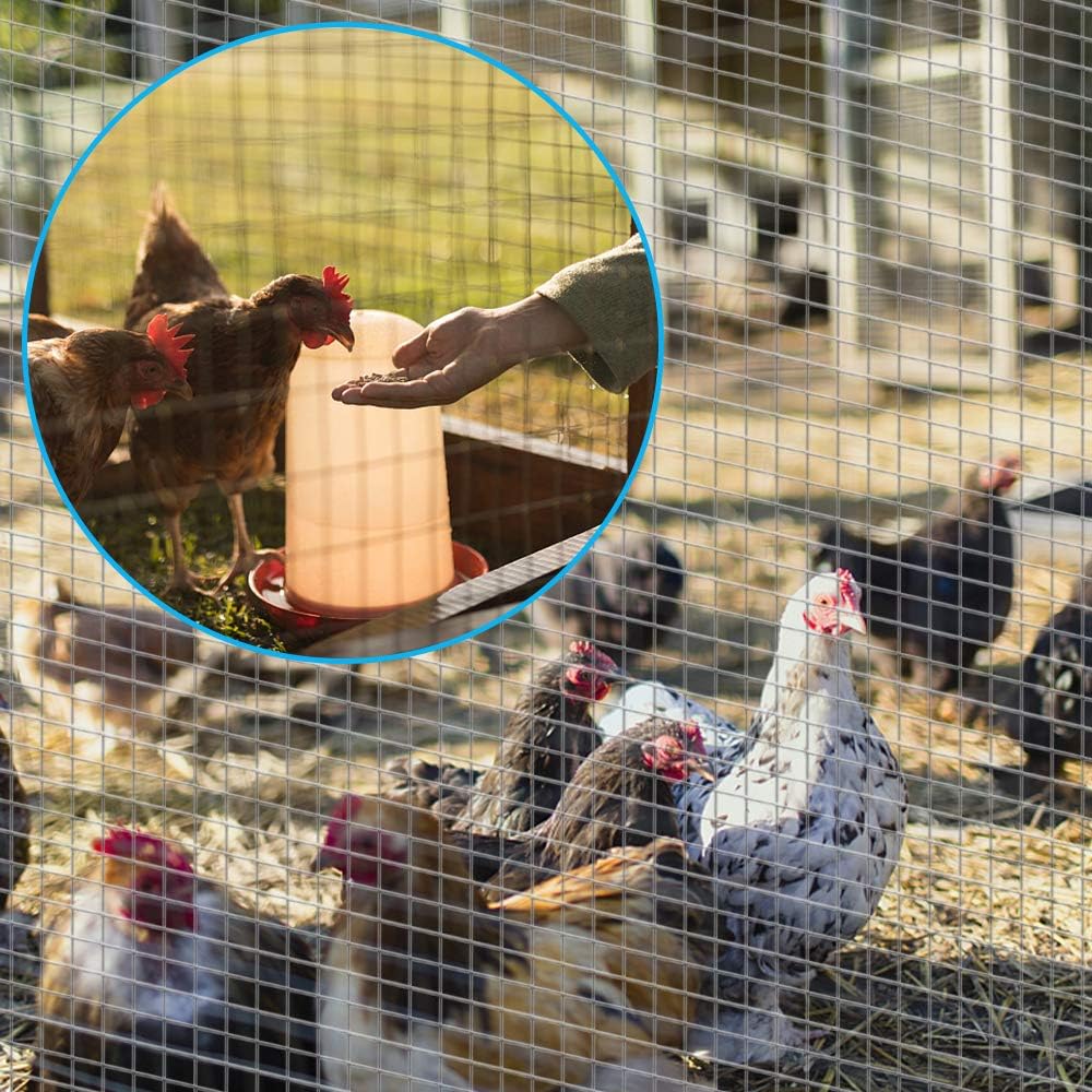 Amagabeli 36inch Hardware Cloth 100 ft 1/4 Mesh Galvanized Welded Wire 23 gauge Metal Roll Vegetables Garden Rabbit Fencing Snake Fence for Chicken Critters Gopher Racoons Opossum Rehab Cage Window - - 