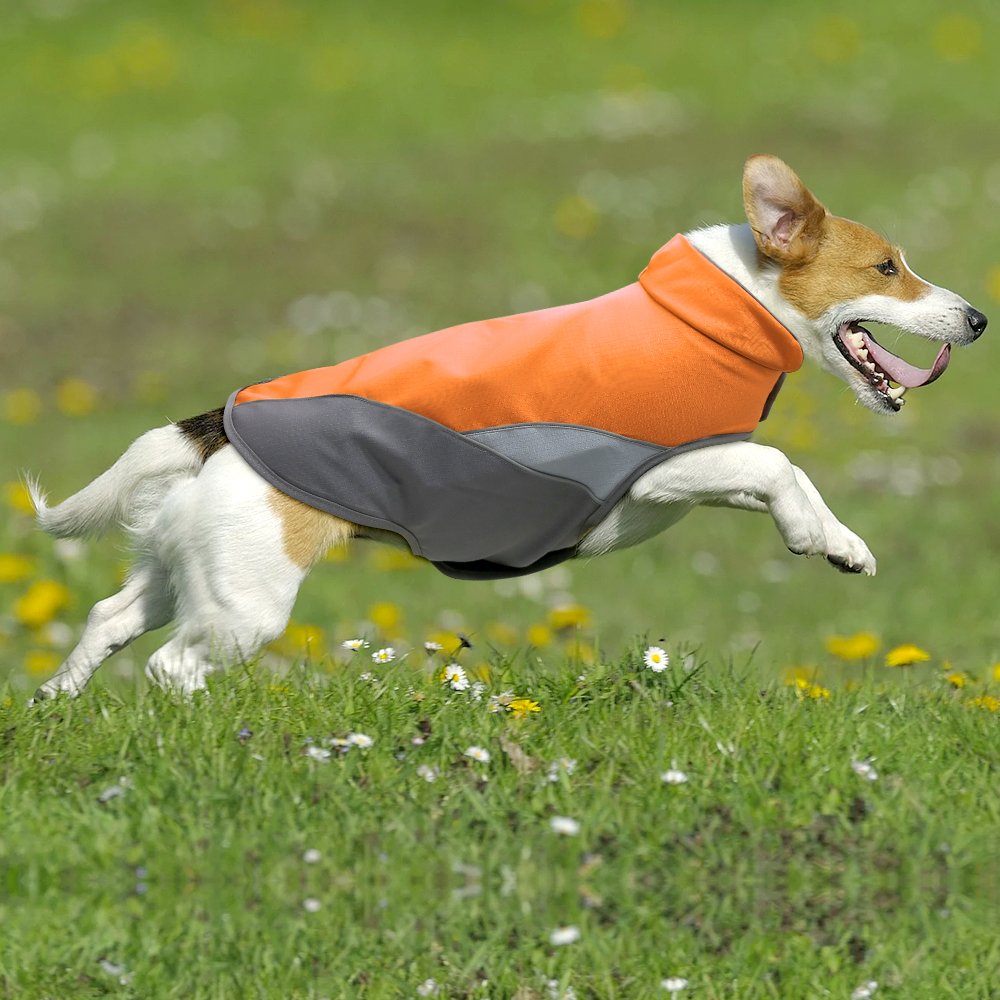 Clan_X Outdoors Dog Coat, Waterproof & Durable Warm Jacket Applied for All Year Around，Available Sizes in XS, S, M, L, XL, XXL.(XS, Orange)