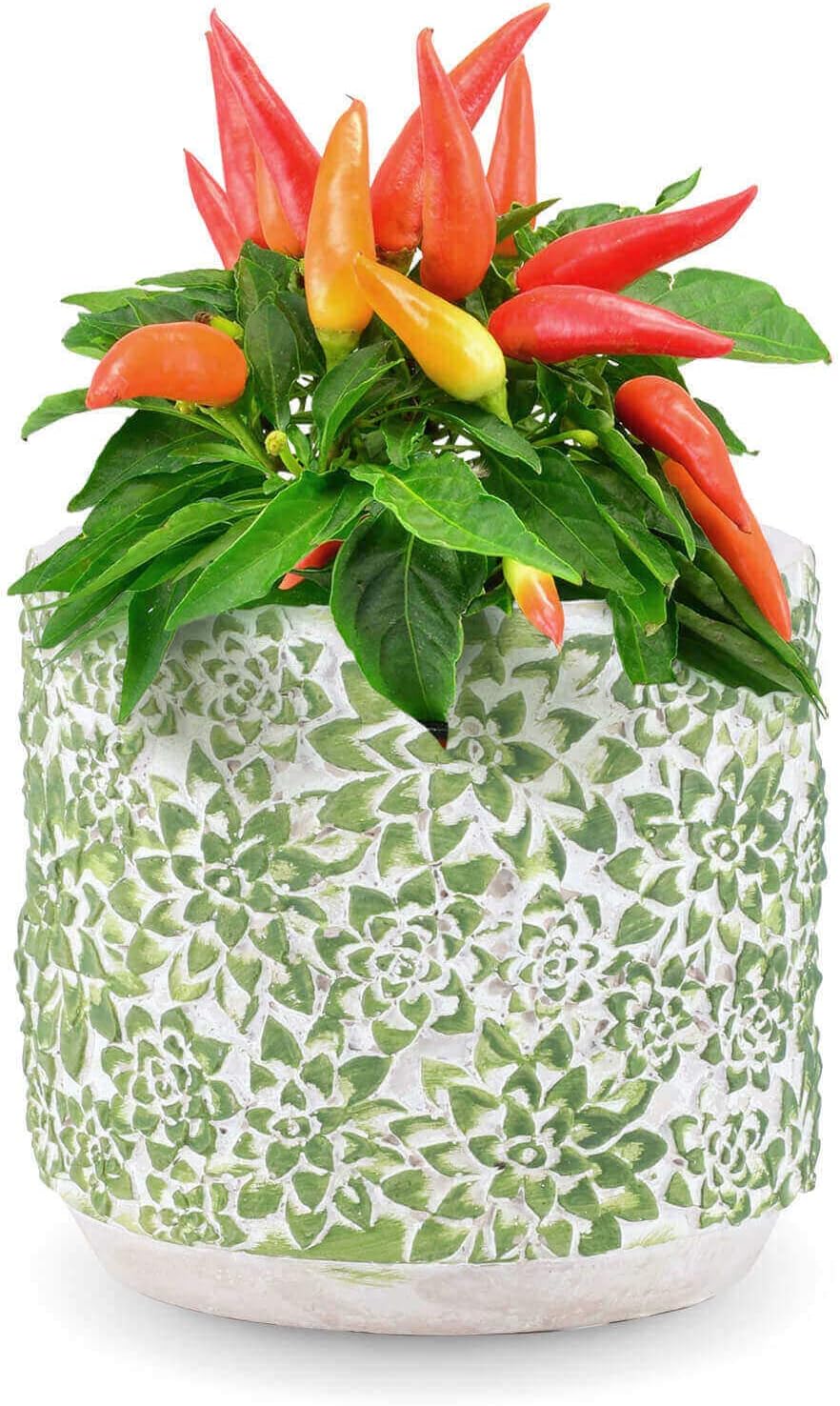 INSPIRELLA Timeless Modern Indoor Flower Pot 5.5