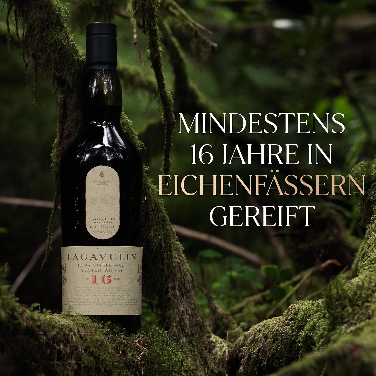 Lagavulin 16 Jahre Islay Single Malt Scotch Whisky, 43 % vol| rauchig, intensiv, torfig, süßer und salziger Single Malt Whisky, in Geschenkbox, gereift in Eichenfässern, 700ml 6