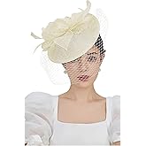 BABEYOND Women's Pillbox Fascinator Hat Kentucky Feather Derby Tea Party Headpiece with Veil for Cocktail Costume