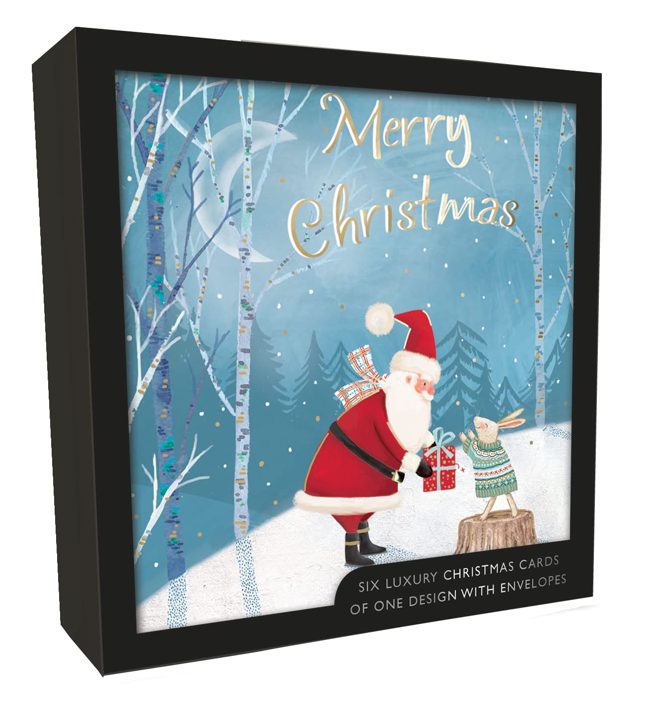 Box of 6 Santa Delivering Gifts Luxury Hand-Finished Christmas Cards Card Boxes XLSB051