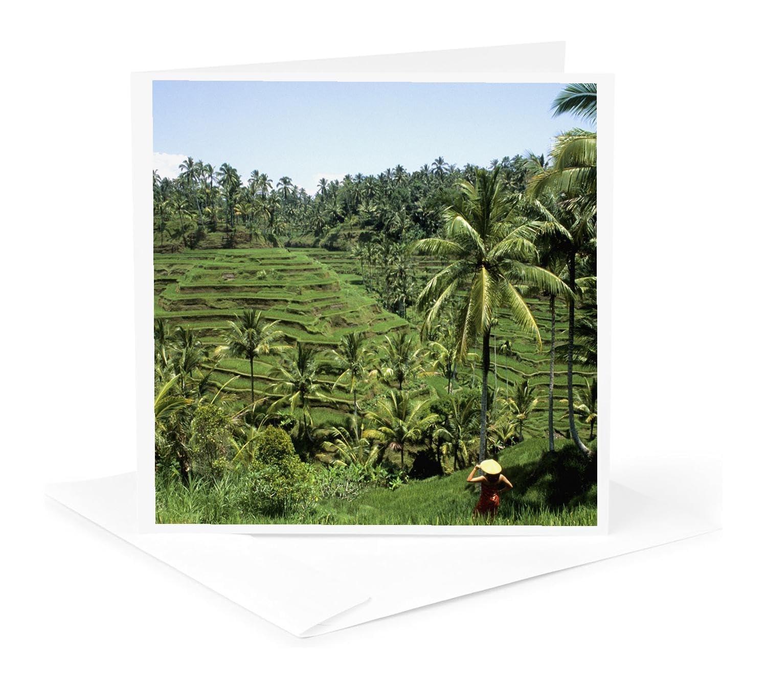 3dRose gc_74586_5 6 x 6-Inch "Rice Terrace Bali Indonesia -As11 Bba0053 - Bill Bachmann" - Greeting Card