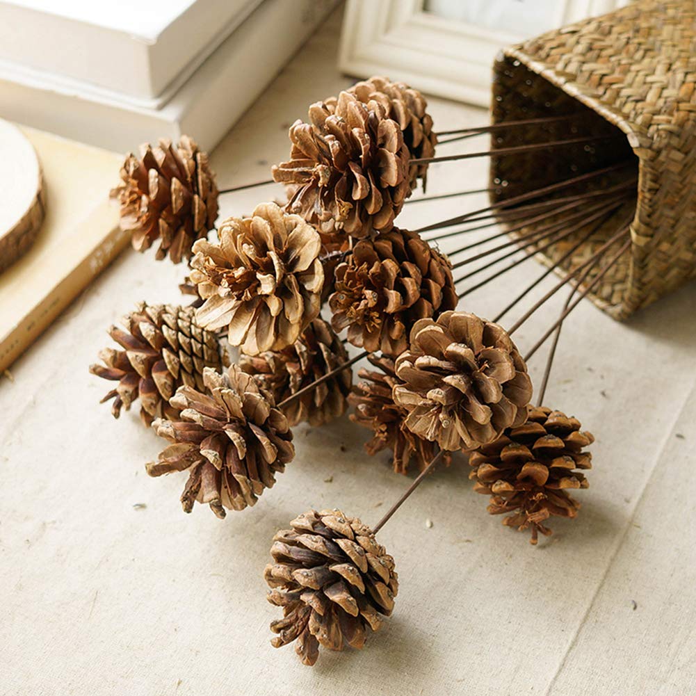 JOHOUSE 18PCS Hanging Natural Pine Cones (1.5