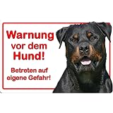 Nanyuk Warnschild 'Australian Shepherd' – Aluminium, 30,5 X 20 Cm (A4), Abgerundete Ecken