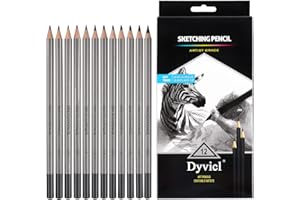 Dyvicl Professional Drawing Sketching Pencil Set - 12 Pieces Drawing Pencils 10B, 8B, 6B, 5B, 4B, 3B, 2B, B, HB, 2H, 4H, 6H Graphite Pencils for Kids, Beginners, Pro Artists