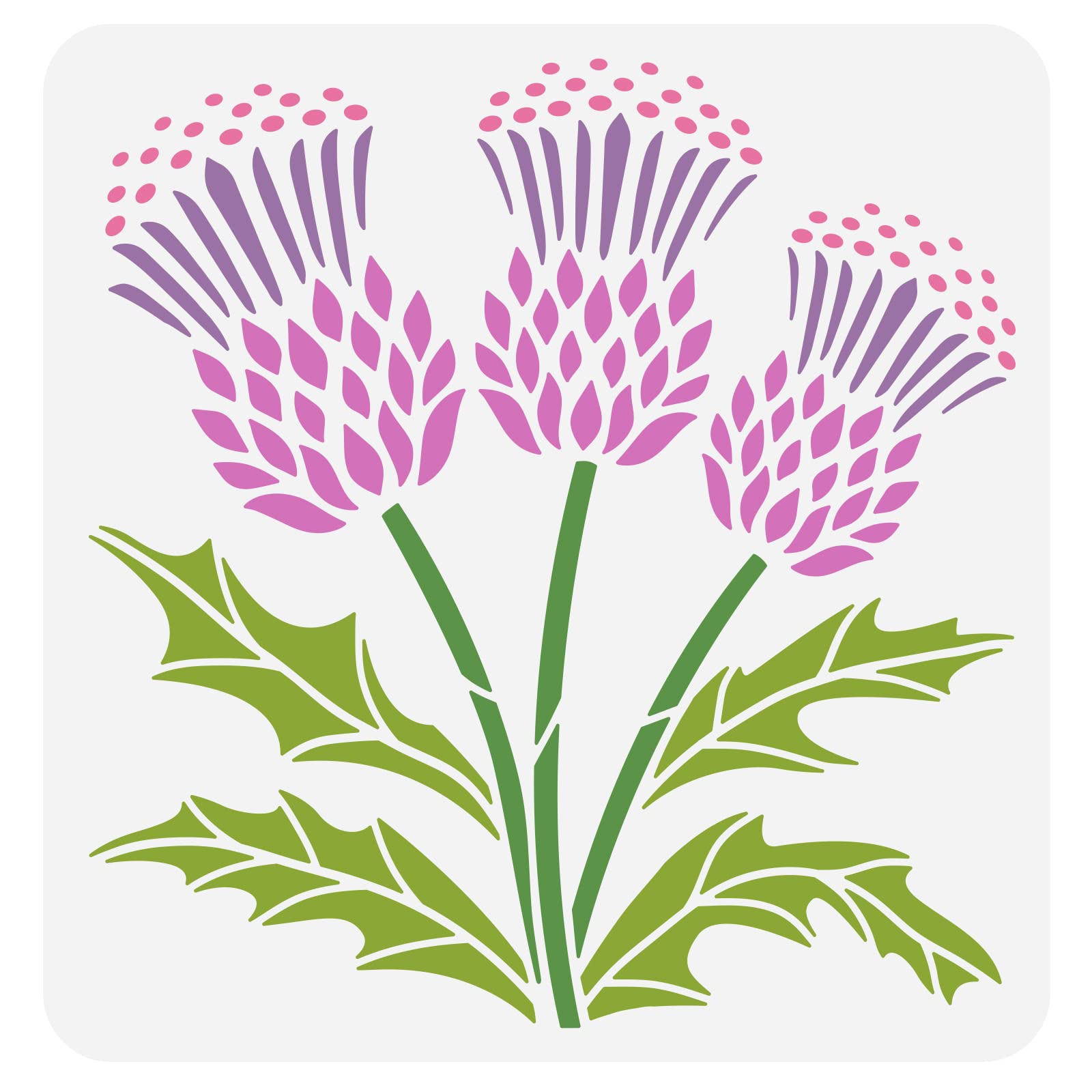 FINGERINSPIRE Thistle Flower Stencil 30x30cm Reusable Flowering Thistle Painting Template Spring Flower Drawing Stencil DIY Art Plants Stencil for Painting on Wood, Floor, Wall and Furniture