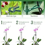 Hanotic 6Pcs Plant Support Stakes 30/60/90cm with Rings Clips Twistties view 4