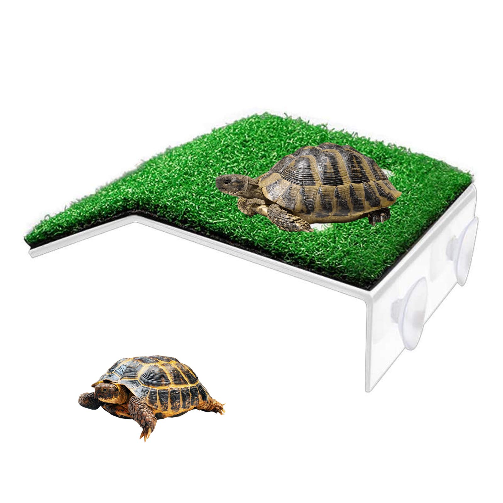 Turtle Basking Platform, Tortoise Ramp Climb Ladder Resting Terrace, Fish Tank Aquarium Landscaping Dock Floating Decor for Reptile Frog Terrapin (Large)