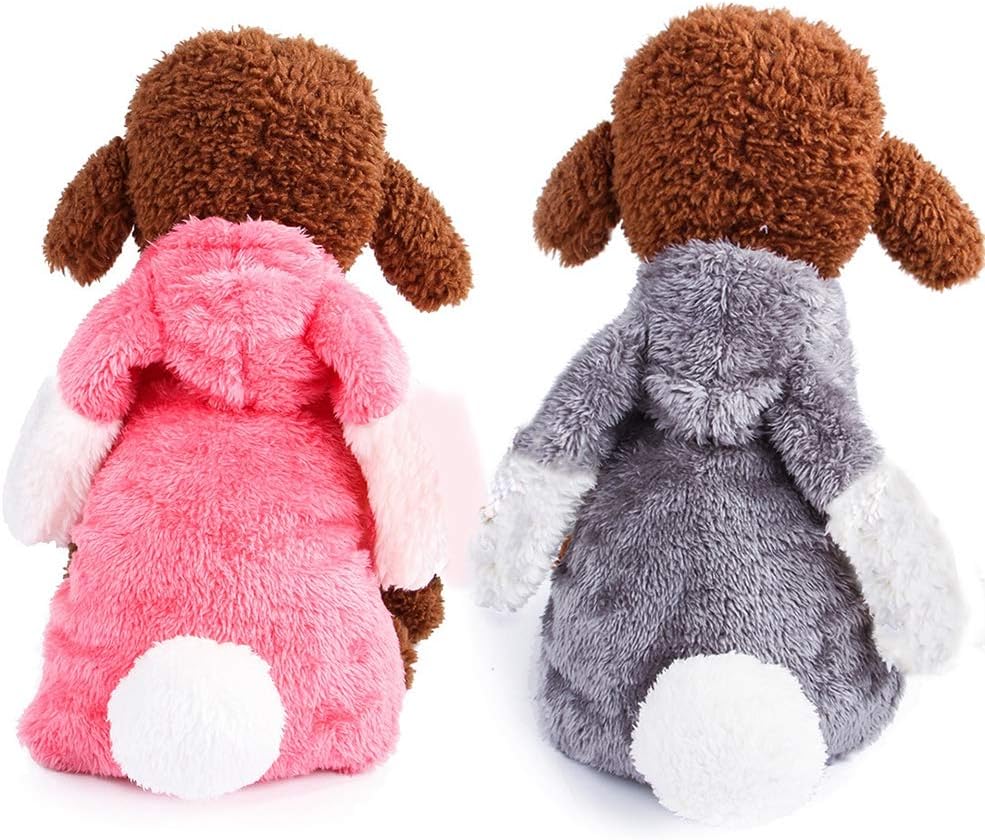 small dog winter coats