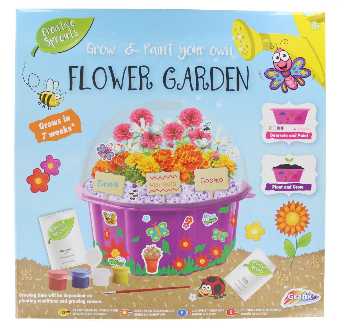 Grow and Paint Your Own Flower Garden