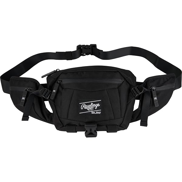 Amazon.com: Mizuno Runbird Belt Bag | Black : Sports & Outdoors