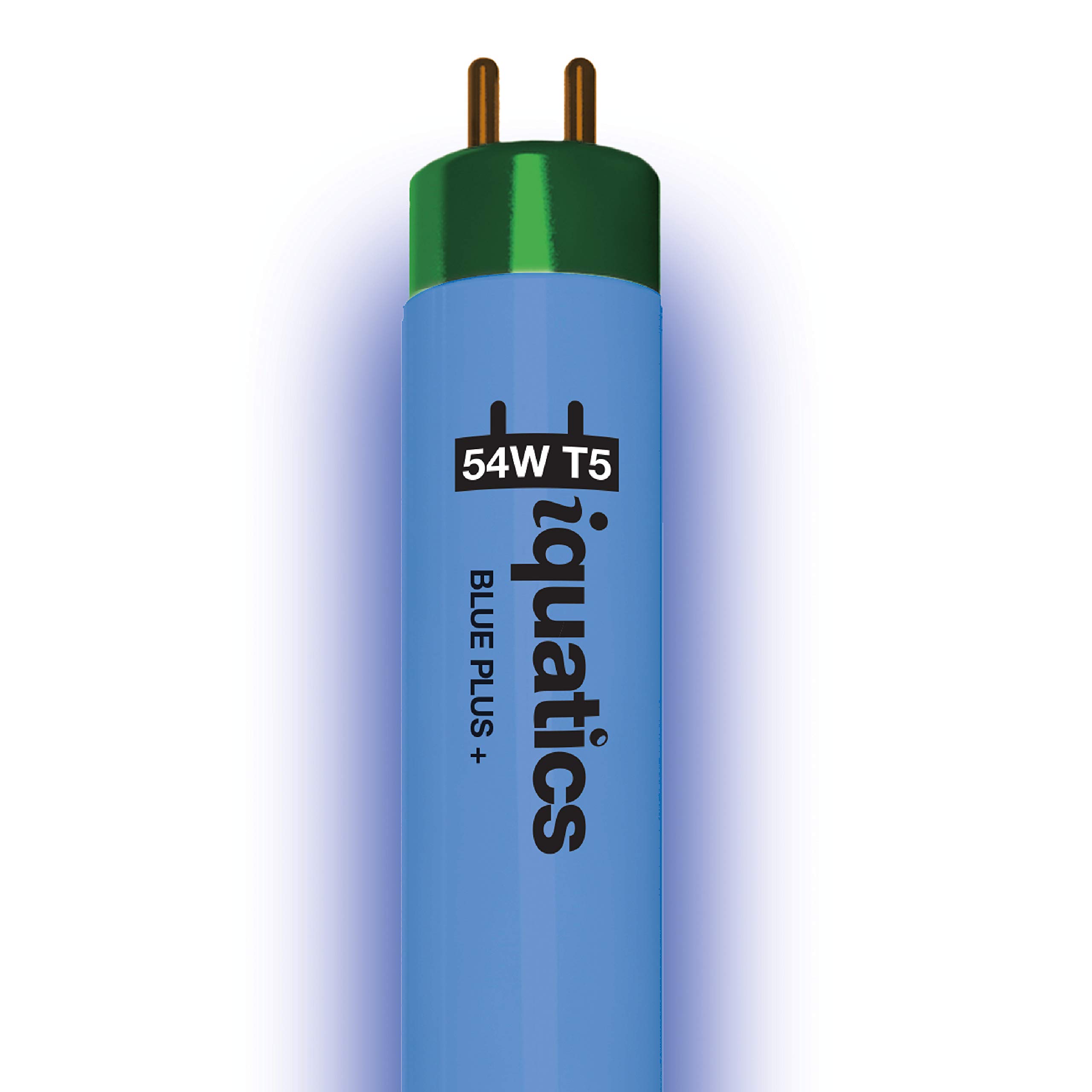 iQuatics Juwel Compatible Aquarium Fluorescent Light Bulb T5 (Single), Blue Plus, 54w 1200mm 48”