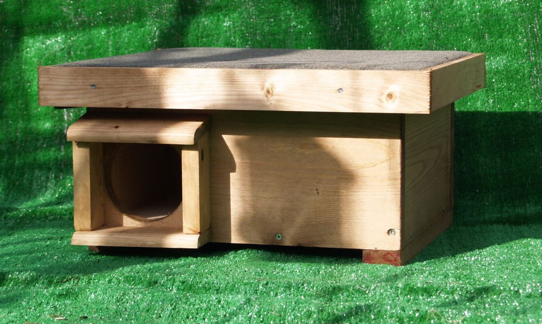 Hedgehog Feeder Amazon.co.uk Pet Supplies