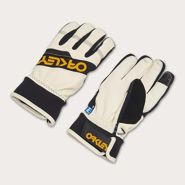 Amazon.com: Oakley Factory Winter Gloves 2.0 : Clothing, Shoes
