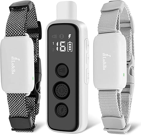 large dog shock collar amazon