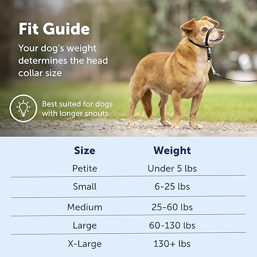 PetSafe Gentle Leader No-Pull Dog Headcollar The Ultimate