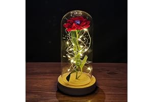 PRA QUEM AMA E SE RECUSA A DEIXAR O CAFÉ ESFRIAR — ZWMBYN Presentes de Dia dos Namorados Rosa A Bela e a Fera para ela, Acenda para
sempre Galaxy Rose em cúpula de vidro, flor artificial rosa de vidro presente
para mulheres no aniversário (cores variadas)