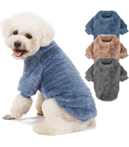 Dog Sweater New Years Luxury Inspired Dog Button Sweater Multi