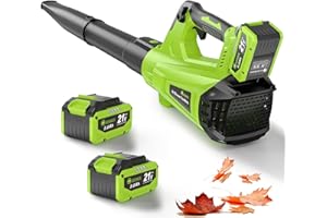 GREENER 21V Leaf Blower Cordless - 600CFM/160MPH Turbo Mode Electric Leaf Blower with 2 X 5.0Ah Battery and Fast Charger Incl