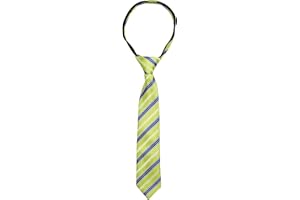 Spring Notion Boys' Pre-tied Woven Zipper Tie