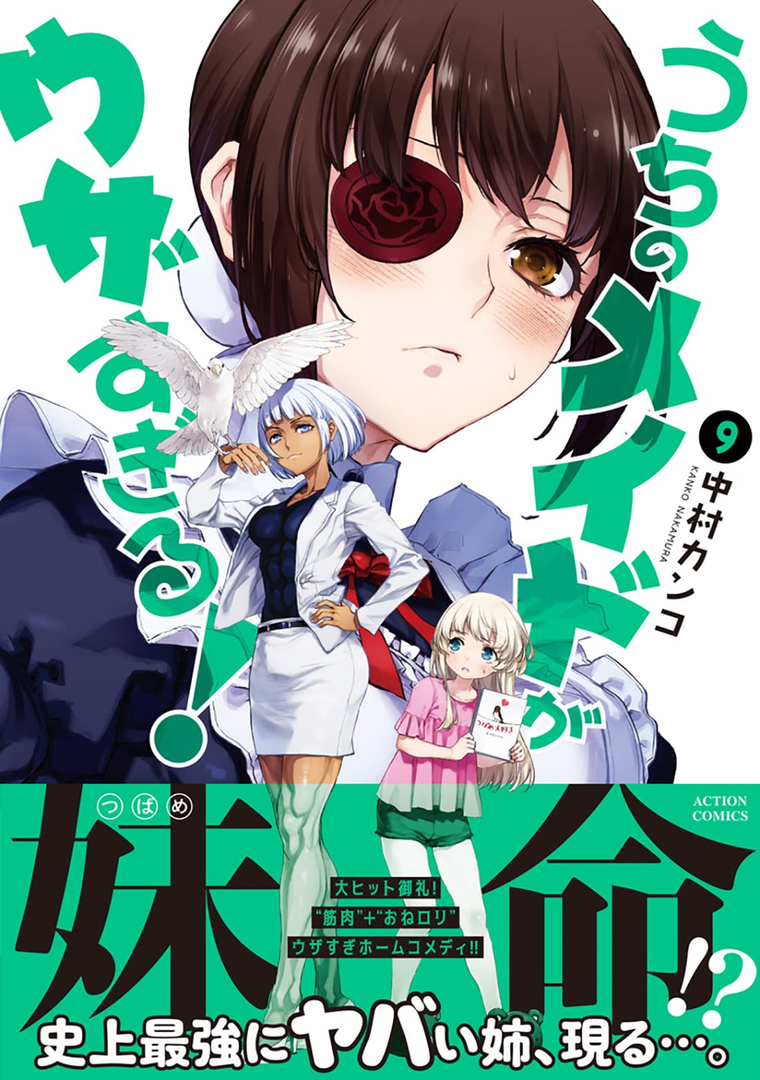 うちのメイドがウザすぎる 9 アクションコミックス 月刊アクション 中村 カンコ 本 通販 Amazon