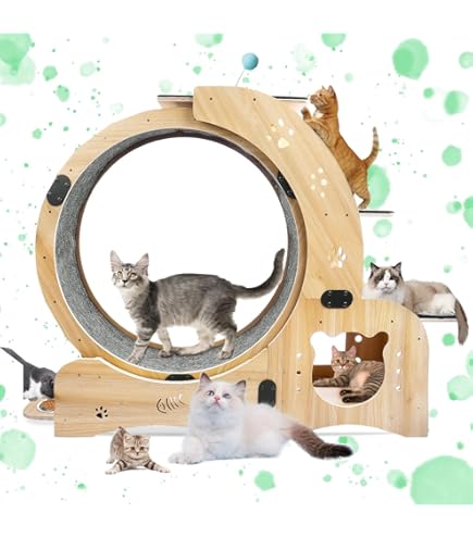 Cat Running Wheels For Indoor Cats Cat Exercise Wheel, 31 Inch Cat