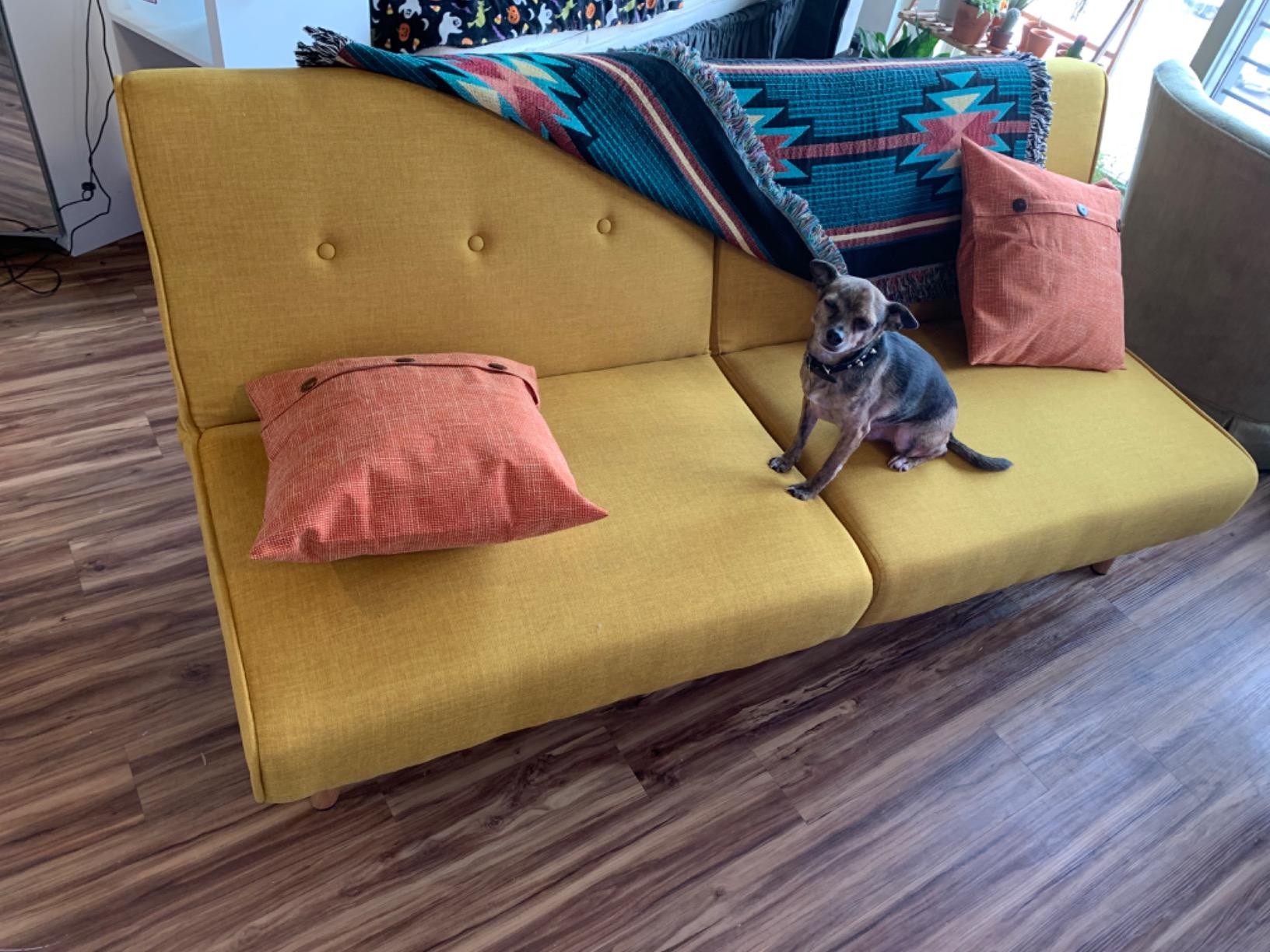 30/mo Finance Novogratz Palm Springs Convertible Sofa Sleeper in