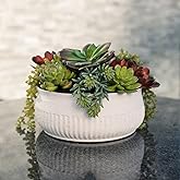 Round Faux Succulent Arrangement, 12" Premium Artificial Indoor Plant Enhances Interior Design, Display on any Surface in Your Home Adding an Inviting Touch of Nature, White Planter Pot Included