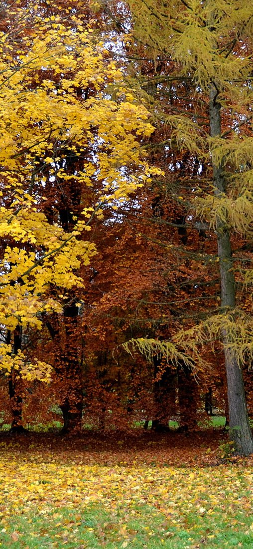 PeelitStickit, Beautiful Nature Wall Murals, ID-3386, vinyl