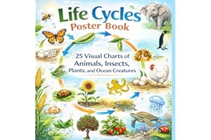 Life cycle poster book: 25 Visual Charts of Animals, Insects, Plants, and Ocean Creatures