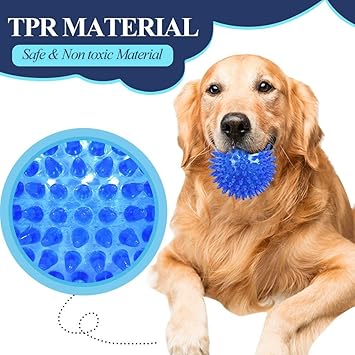 THE DDS STORE Pet Dog's Non-Toxic Rubber Teething and Training Chewing Ball Toy without Sound for Small-Medium Breeds (Colour May Vary)
