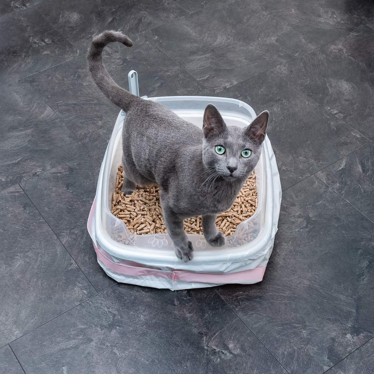 biodegradable litter box liners