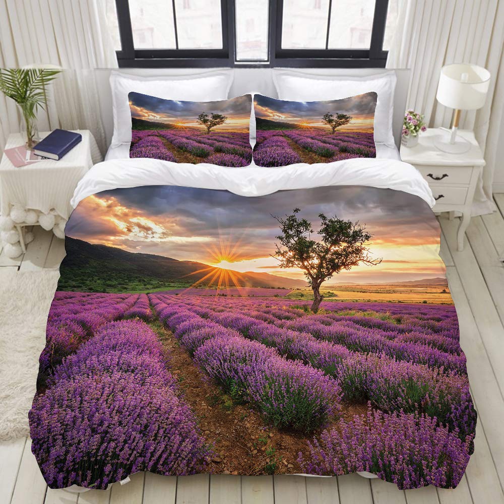 The 10 Best Refrigerator Full Size Cheap